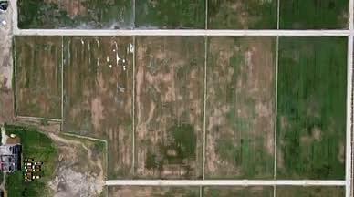 粤西农业生产方块稻田4k航拍视频的预览图